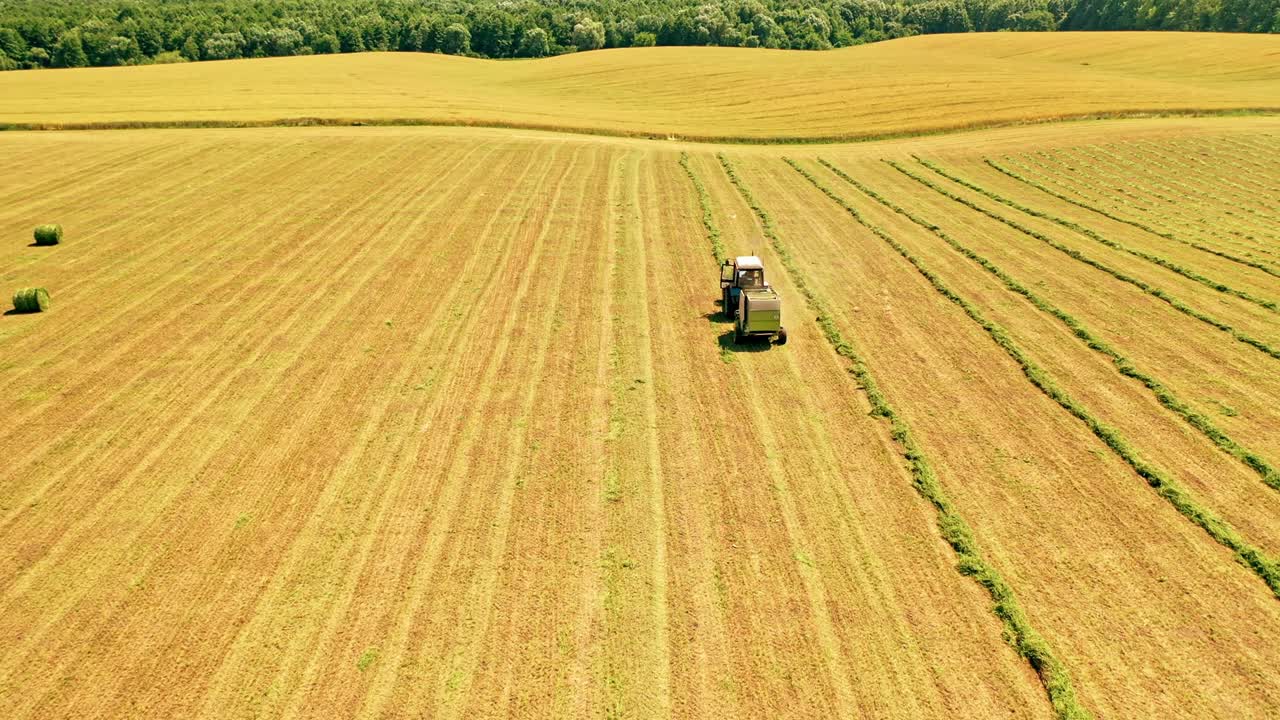 Vista aerea del vasto campo giallo in campagna