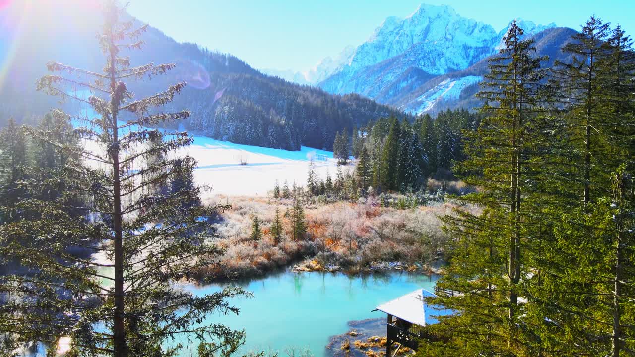 zelenci 스프링스의 항공 4k 드론 영상