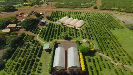 Invernaderos-En-Medio-De-Una-Finca-De-Café,-Al-Lado-Del-Cielo-Azul-Y-El-Océano-En-La-Isla-De-Kauai-En-Hawaii