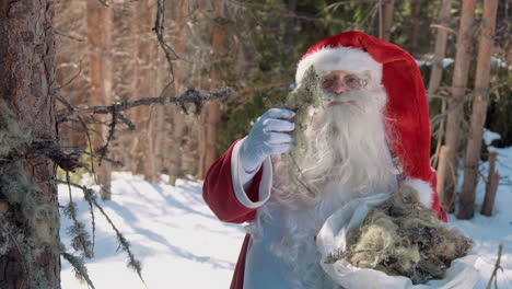 Der-Weihnachtsmann-Steht-Mit-Einem-Sack-Voller-Moos-Im-Wald,-Hält-Moos-Mit-Einer-Hand-Und-Spricht-Darüber