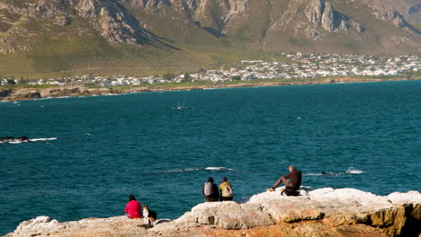 whales right next to tourists on rocks - land-based whale watching