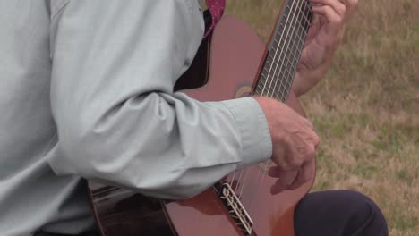 guitarra acustica con cuerdas de nylon