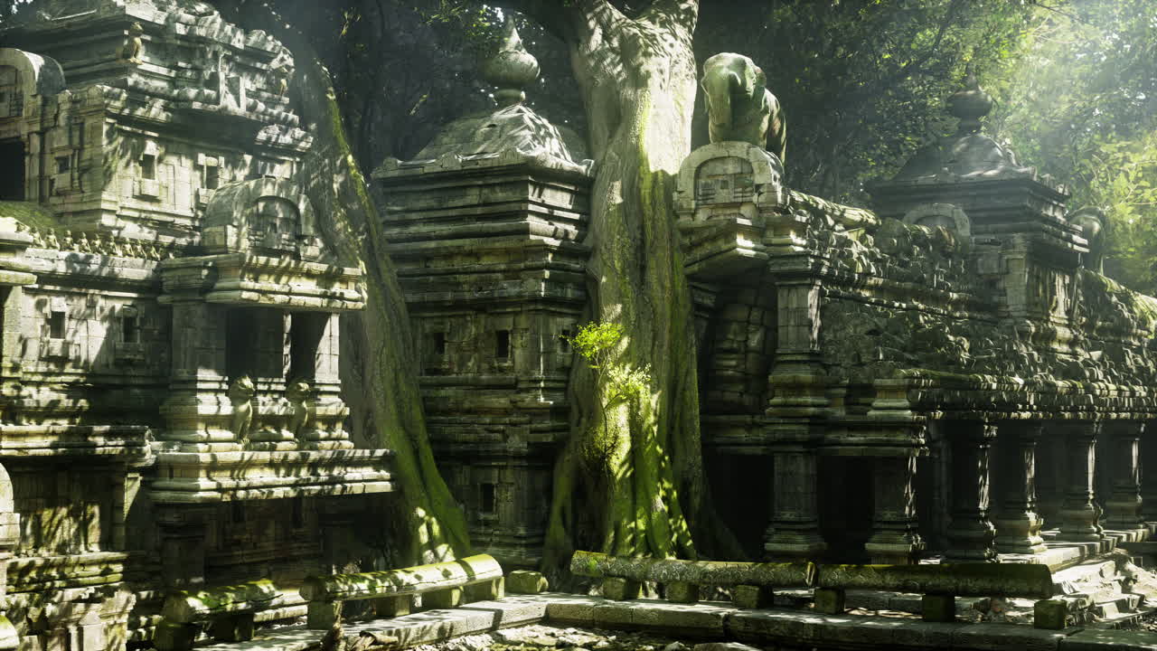 Ancient ruins enveloped by nature in cambodia during midday light