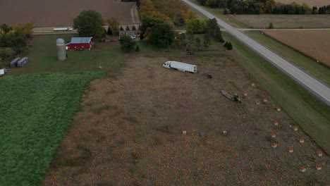 Pumpkin-harvesting-on-a-farm