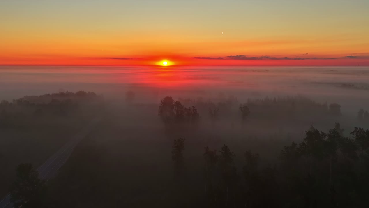 Et flyfoto av en skog, der morgentåken fortsatt henger i trærne under en rød soloppgang.