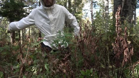 person hiking through forest