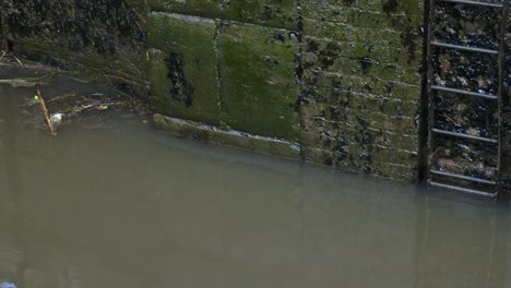 water level inside canal lock lowering and showing more green slimy stone walls and ladder rungs