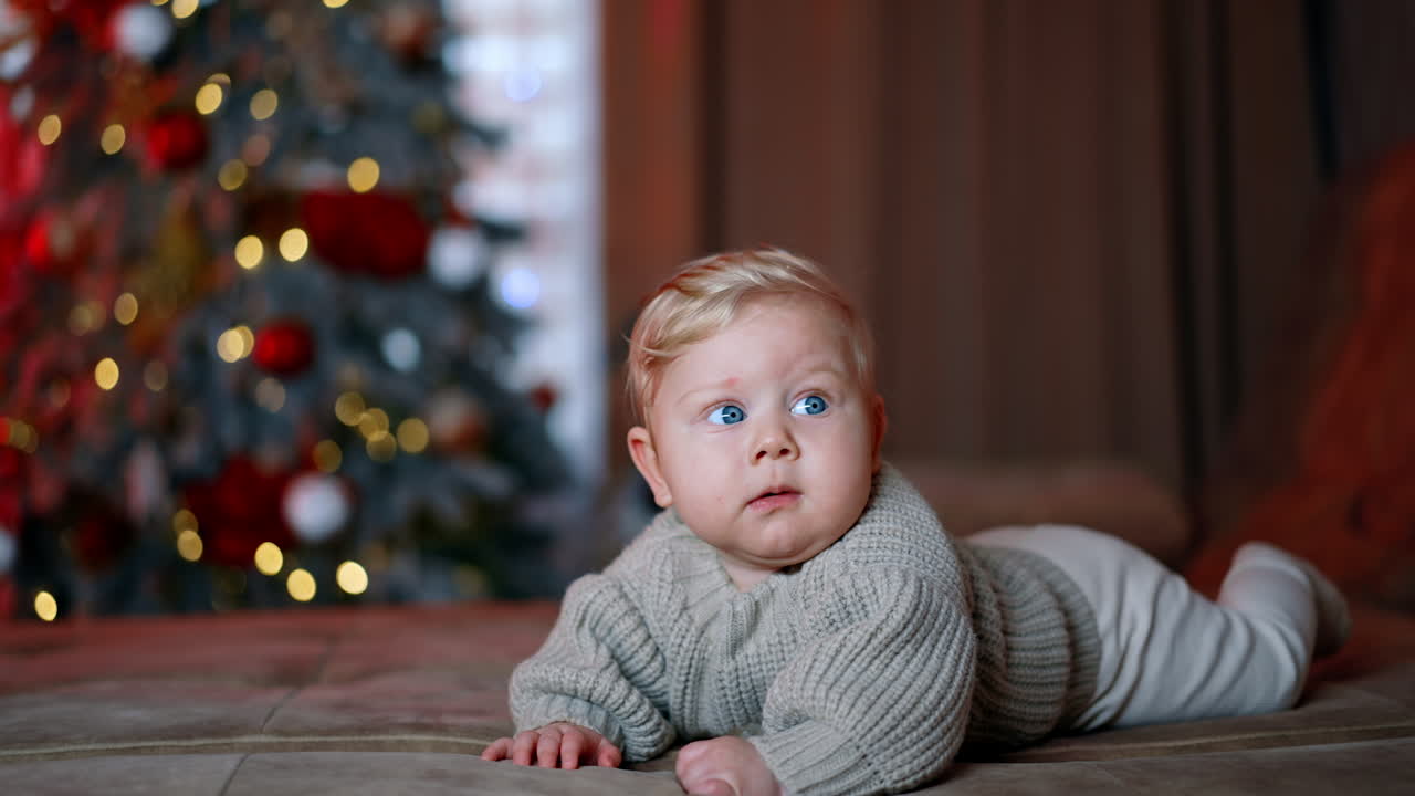 Beautiful blond blue-eyed baby wearing warm grey sweater lies on his belly. Kid turns around to look at the bright Christmas tree at backdrop.