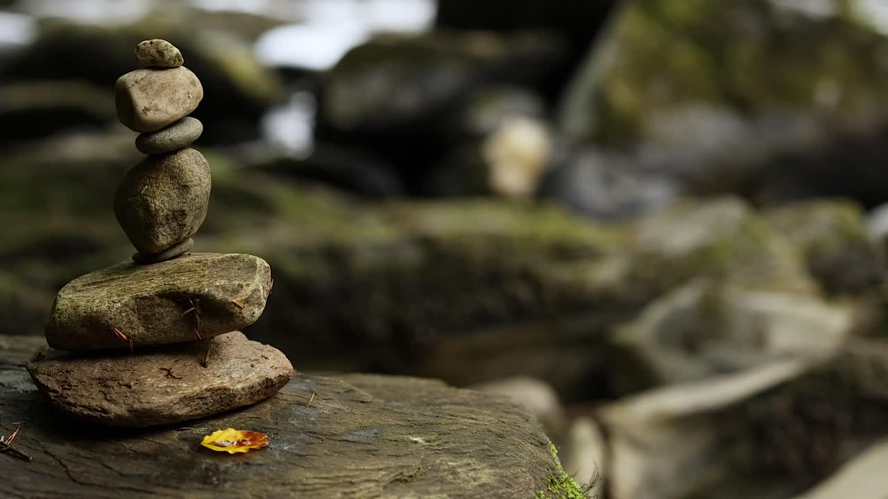 piedras apiladas con una flor en la naturaleza