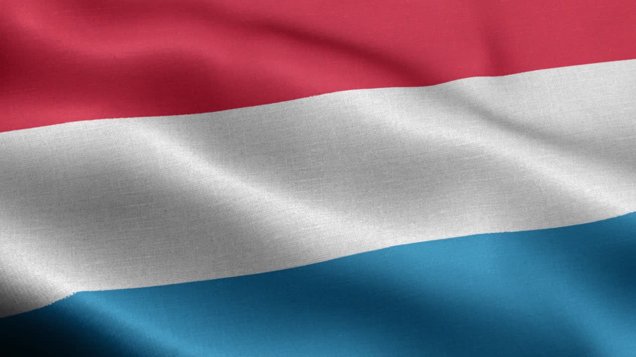 헤일브론의 발, 바덴-위르템베르크 - 독일 국기 - 독일 지방 발 - 독일 - 발 파동 패턴 loopable 요소 - 느린 모션  플래그 - 루프 준비 완전 화면 발은 느린 동작으로 흔들고 있습니다.