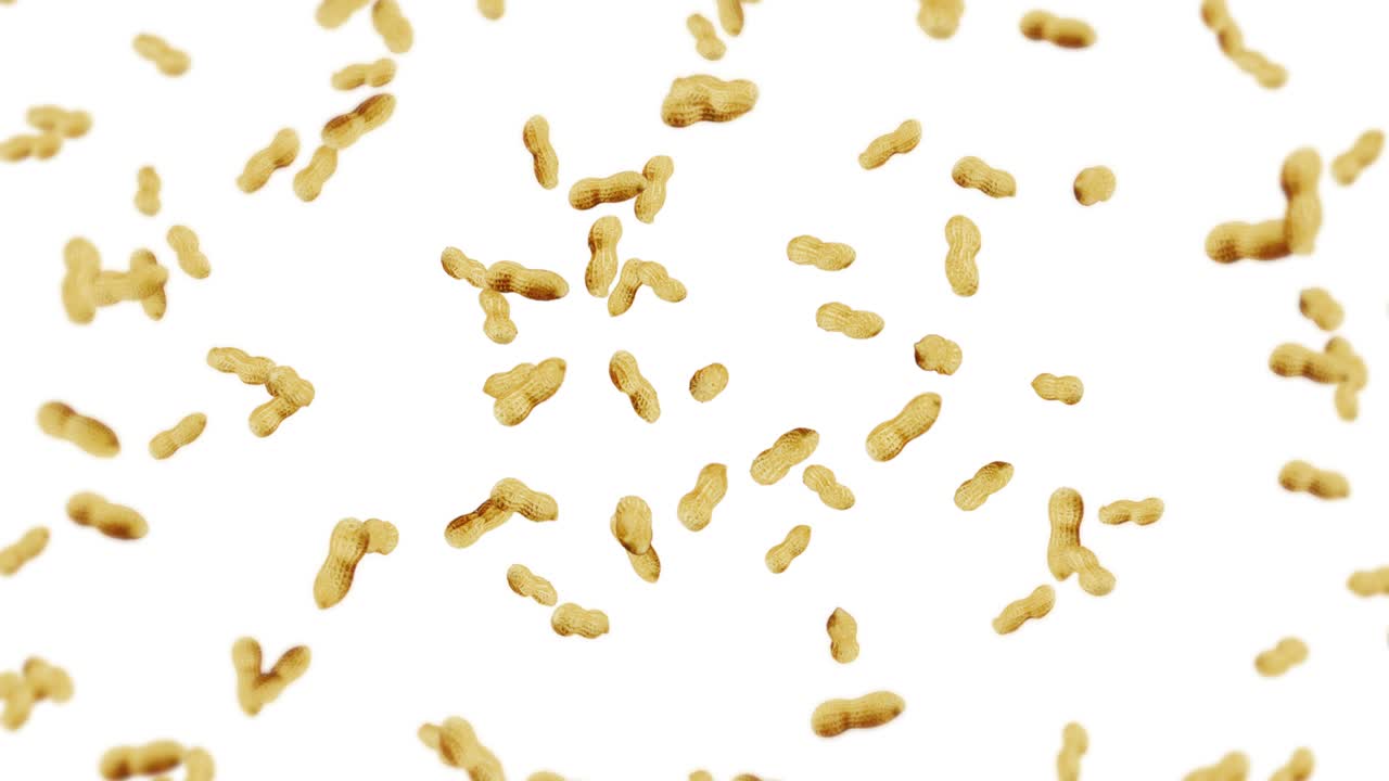 Flying many peanuts on white background. Raw peanuts. Groundnuts in shells. Healthy organic food. 3D loop animation of seed rotating.