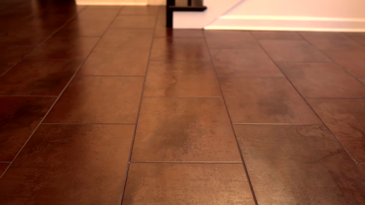 Interior ceramic floor tiles - rectangular and installed the pieces