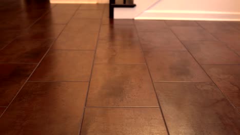 interior ceramic floor tiles - rectangular and installed the pieces