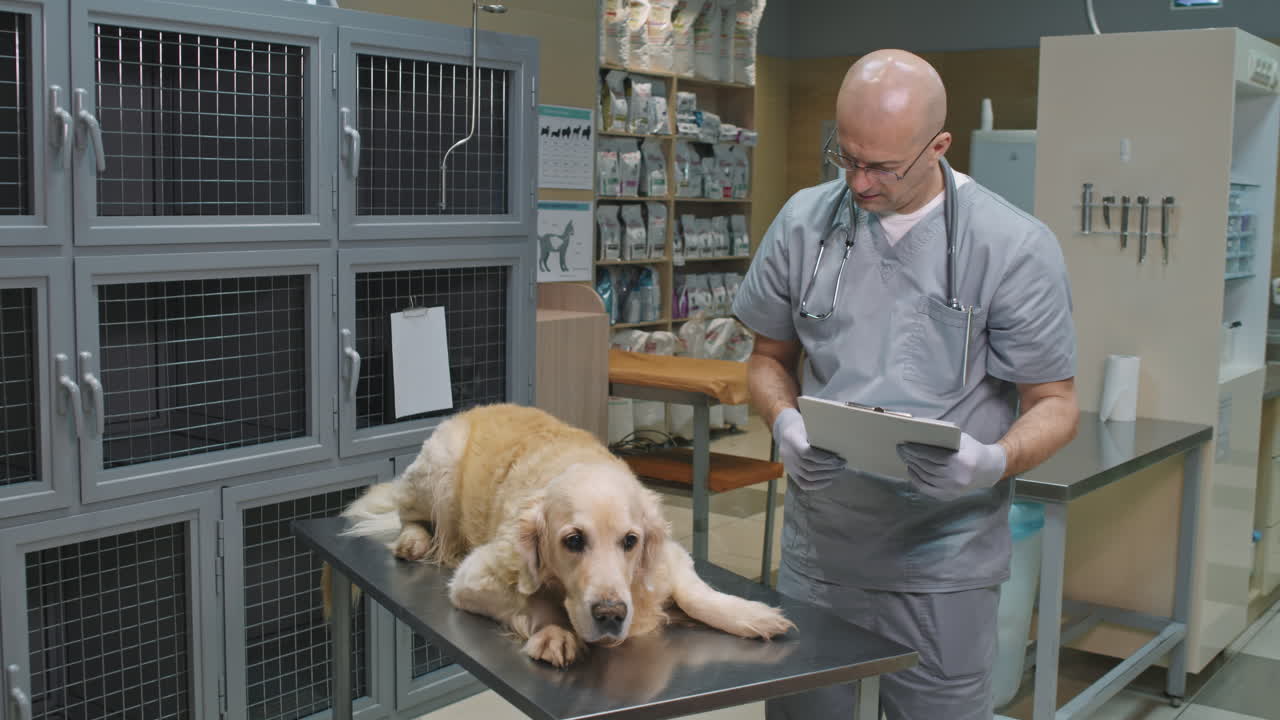 Ritratto di veterinario con Golden Retriever