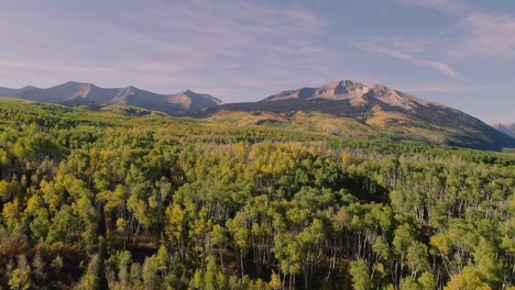 álamos-Tembloses-Girando-En-Kebler-Pass,-Colorado