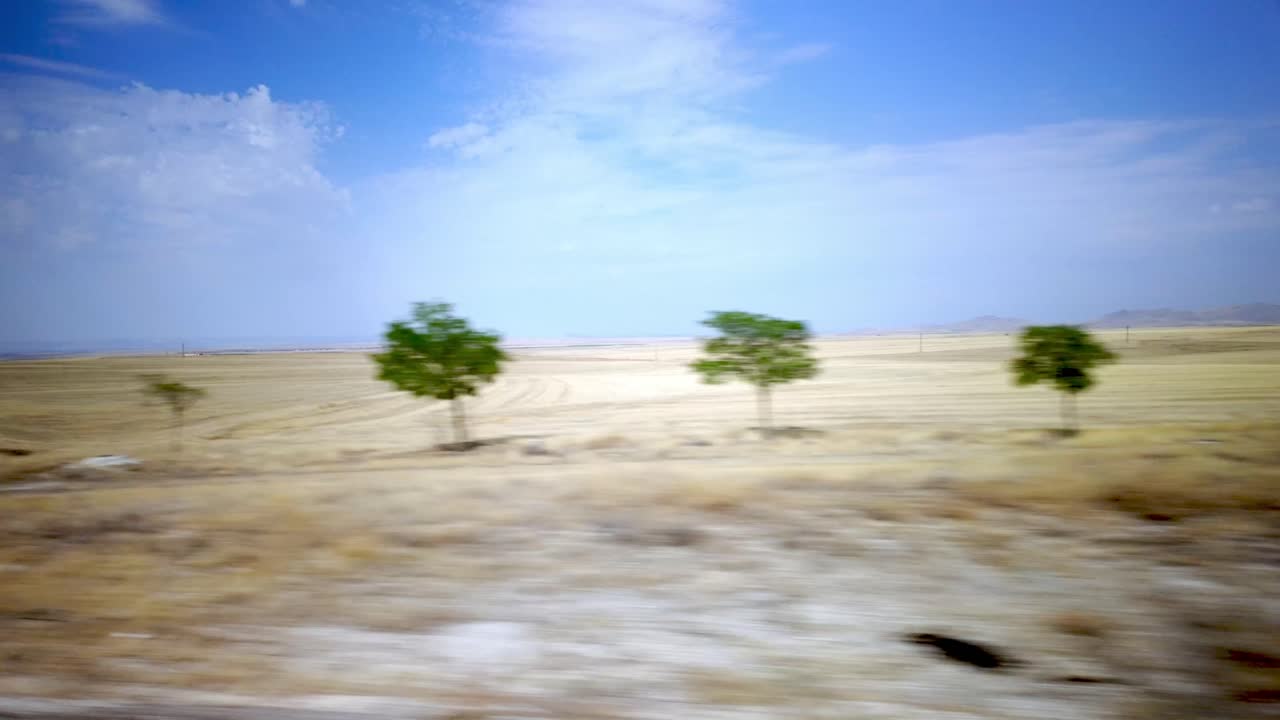 Three trees stand alone in the vast, arid desert, seen from a bus on the journey from Ankara to Konya.