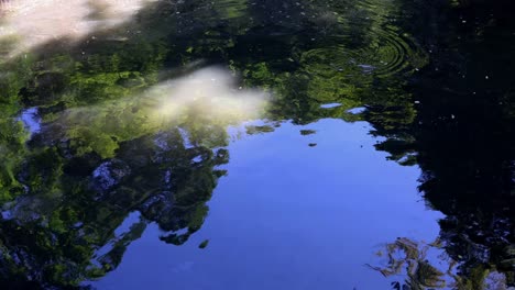 the beautiful view in rikugien gardens