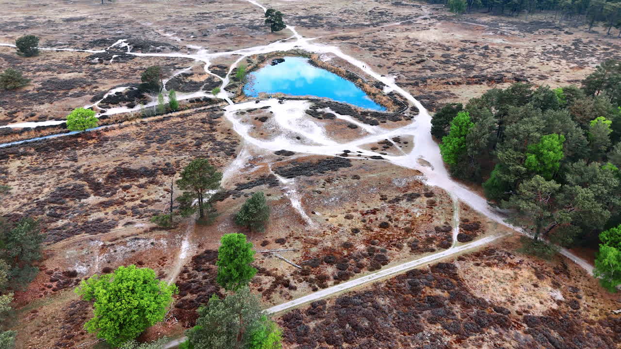 Tranquil pond in the wild. Vibrant green trees surround a tranquil pond in a vast, dry landscape during daylight hours, showcasing nature's beauty