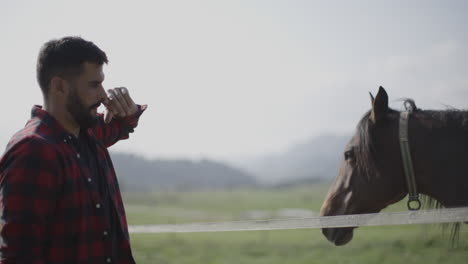 man interacting with a horse