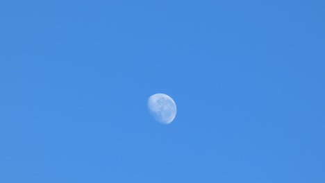 Waning-gibbous-moon-still-visible-in-morning-sky---Canterbury,-New-Zealand