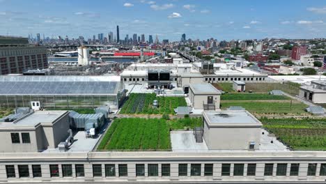 aerial truck shot of green rooftop garden with greenhouse in front of skyline of new york city in manhattan - traffic on intersection in brooklyn - panorama drone shot