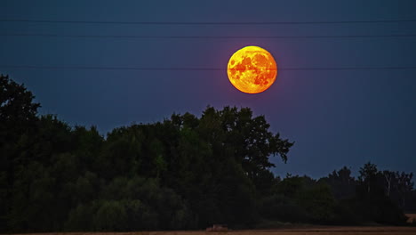 timelapse of orange full moon moving across night sky over trees