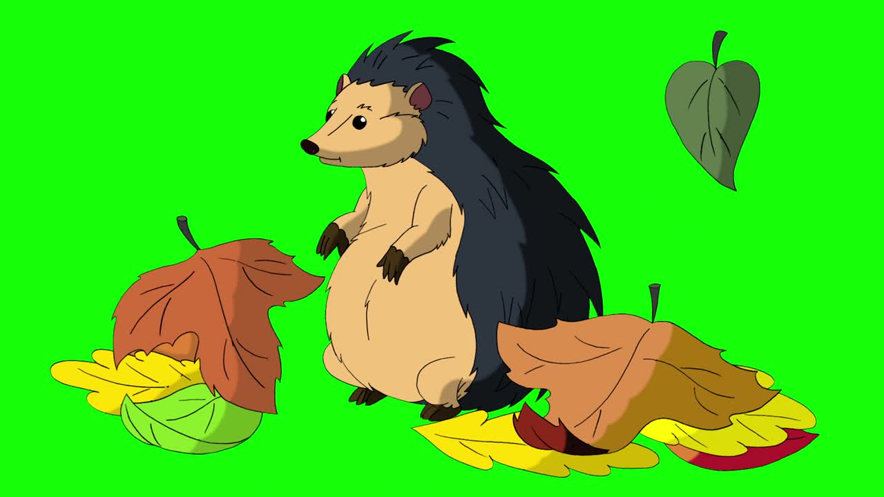 el erizo se despierta en las hojas clave de croma