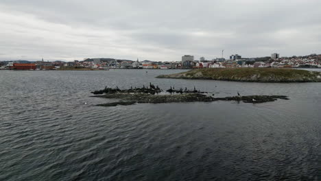 Drone-flying-around-cormorants-and-seagulls-perched-on-fjord-sea-water-rocks-with-Stavanger-port-in-background,-Rogaland-in-Norway