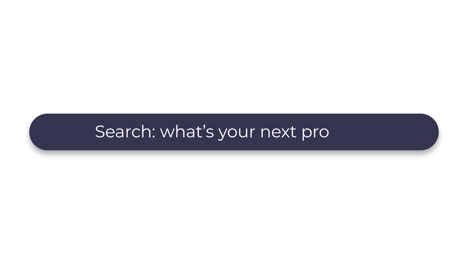 search bar interface element