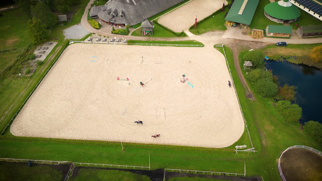 grupo de cavalos puro-sangue andando e pastando no paddock perto do estábulo