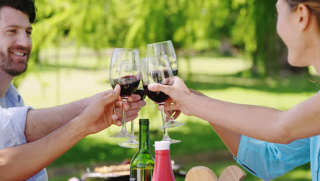 couples toasting glasses of red wine in the park