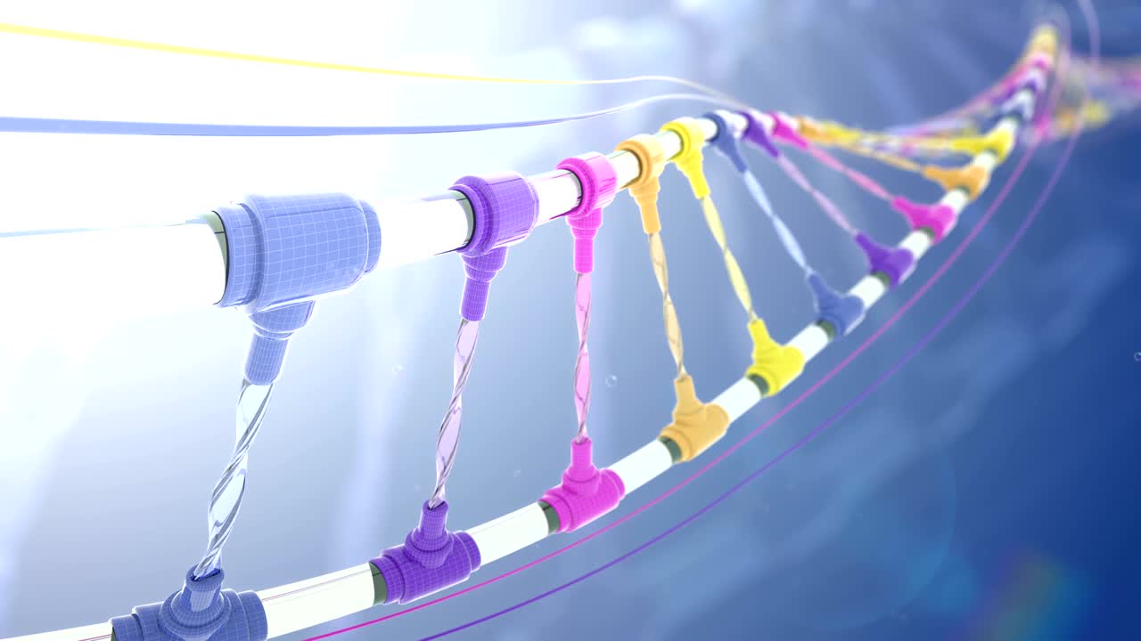 다채로운 dna 구조로 루프를 만들 수 있습니다.