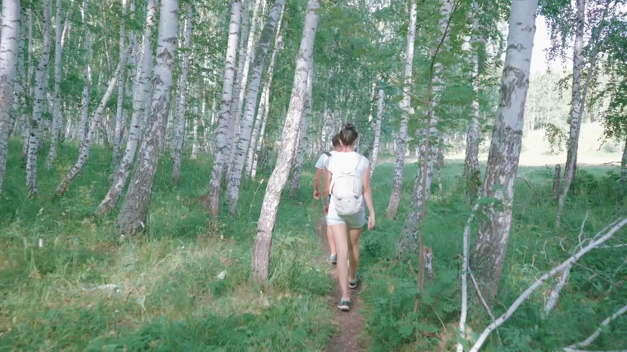 Woman Hiking in a Birch Forest