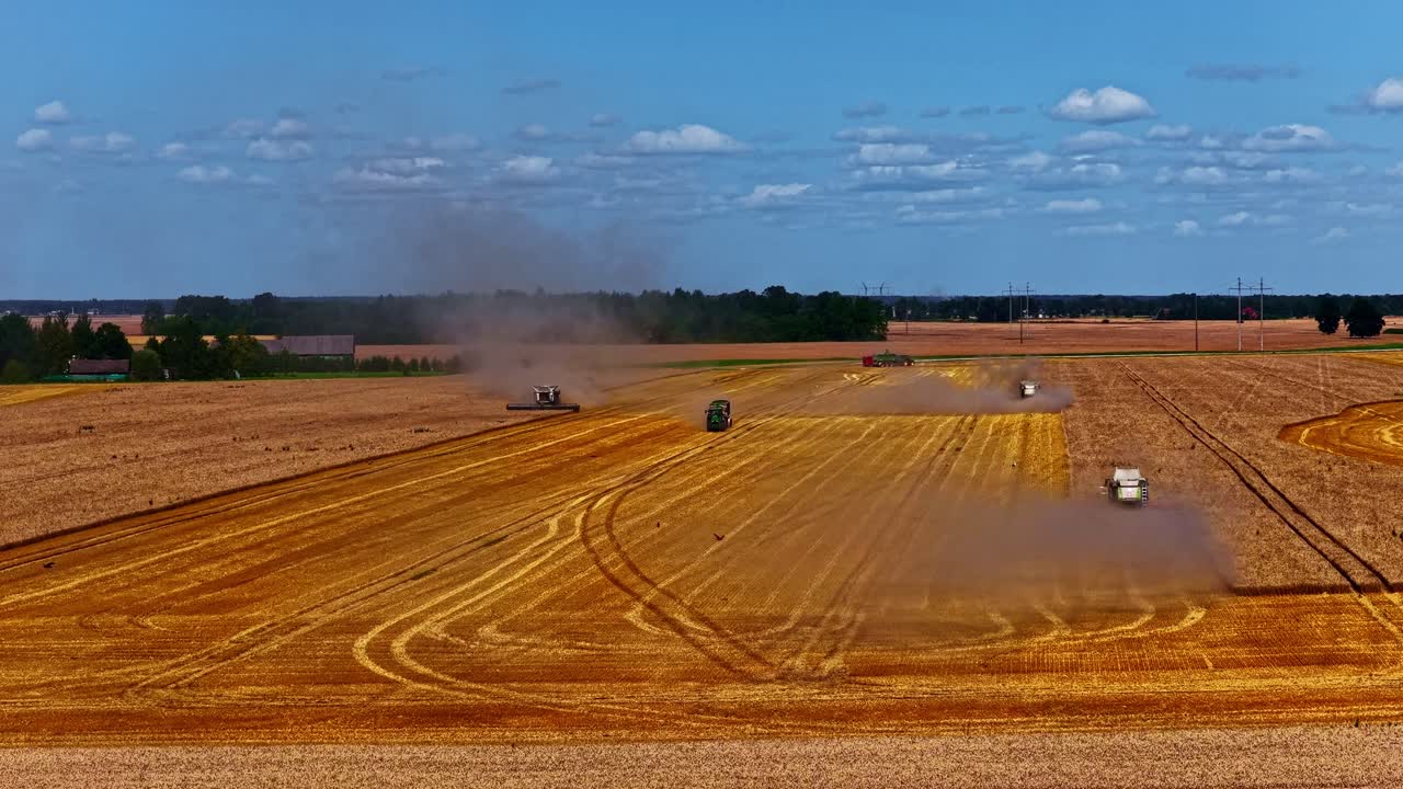 Harvesting Wheat in a Golden Field