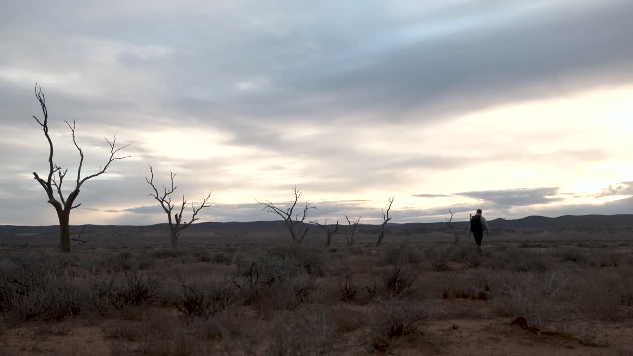 disparo desde atrás, fotógrafo caminando por una zona desierta con silueta de árbol muerto, australia