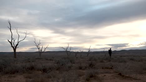 Aufnahme-Von-Hinten,-Fotograf-Geht-Auf-Verlassenem-Gebiet-Mit-Toter-Baumsilhouette,-Australien