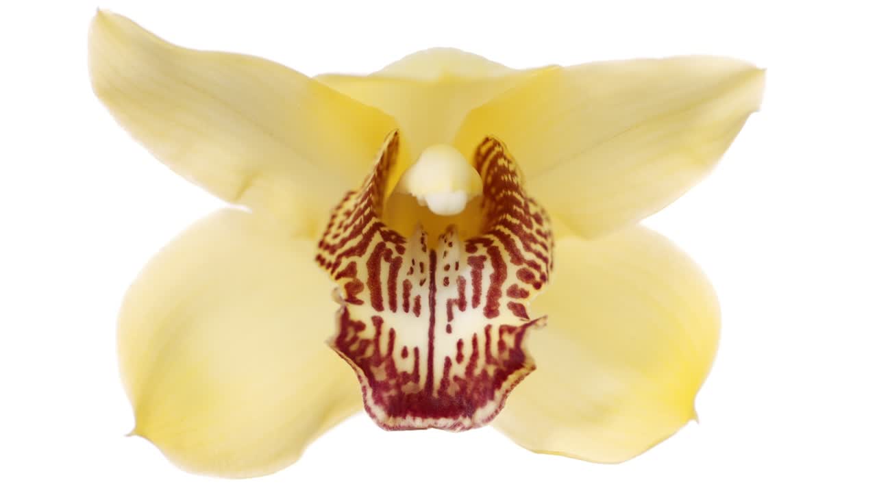 은 투명한 액체 표면에 떨어지고 원을 만니다.