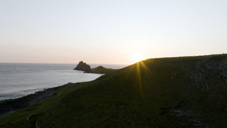 sunset over coastal cliffs and sheep