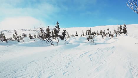 paisaje montañoso nevado