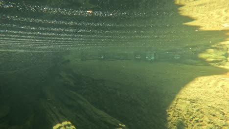 waterfall and underwater view of pond