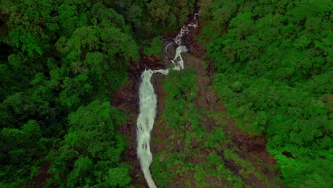 vista aérea de la majestuosa cascada bijagual o manantial de agua viva, la cascada más alta de costa rica