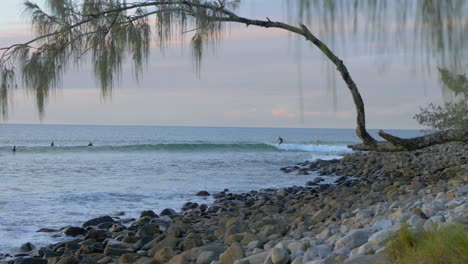 paisaje de agua prístina de little cove beach en queensland, australia