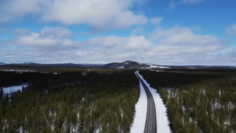 Asphaltierte-Landstraße-In-Schneebedeckten-Laubwaldbäumen-In-Schweden