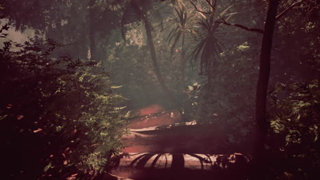 camino misterioso de la jungla: un viaje a la exuberante selva tropical