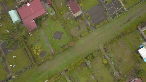 aerial-top-down-of-allotment-gardening-in-residential-area-of-the-city-town