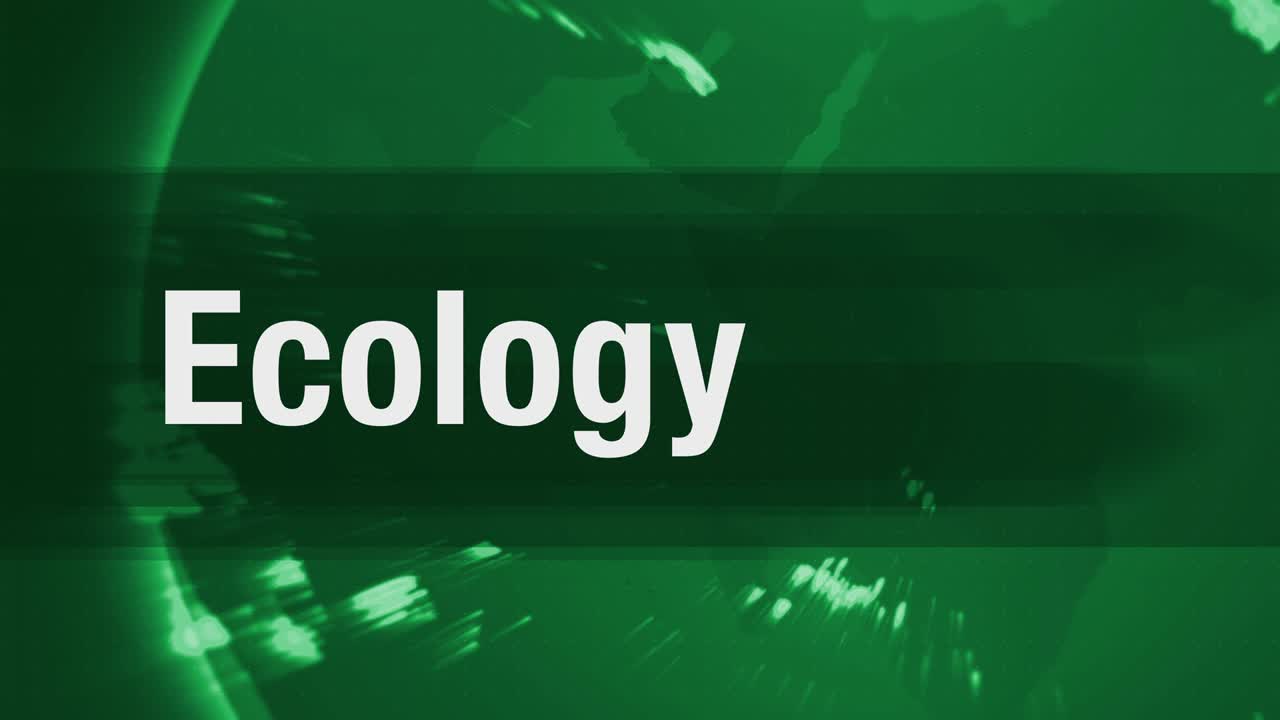 светлость и земля "экология" [loop]