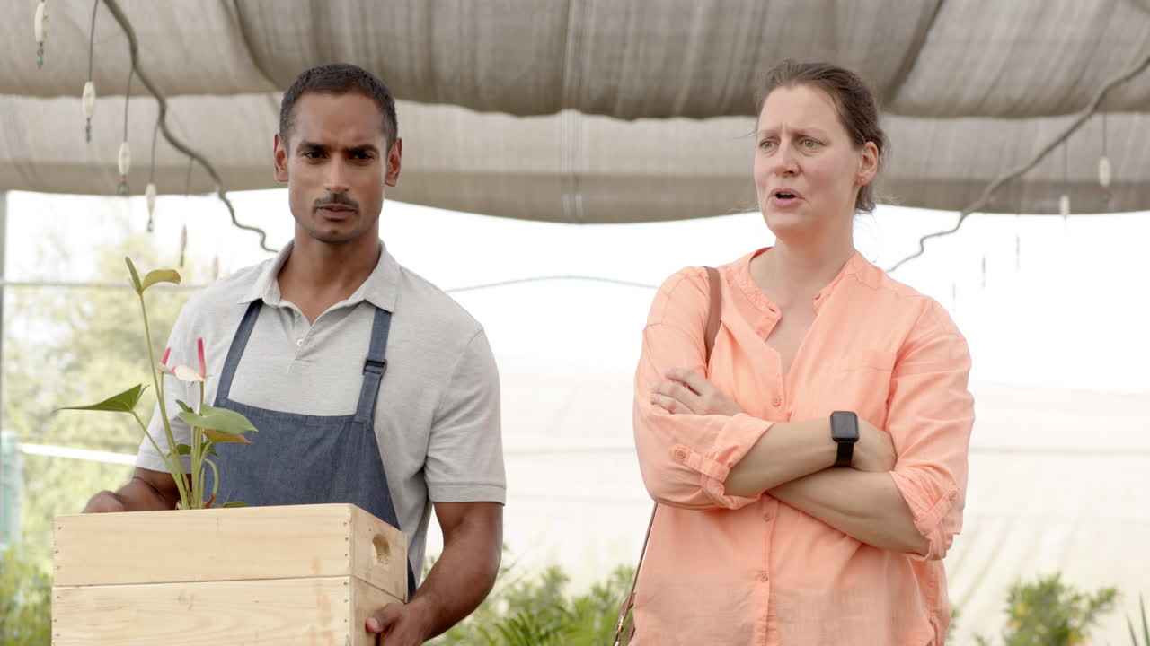 Gardening diverse team discussing plant care while holding wooden crate in greenhouse