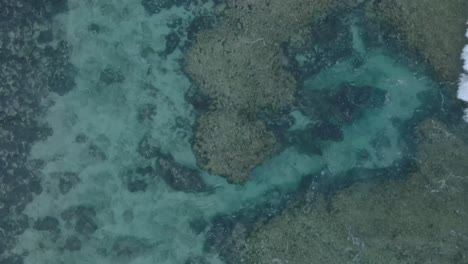 Top-Down-Drone-View-of-turquoise-clear-water-and-crashing-waves-over-shallow-coral-reef-in-Uluwatu-Bali-Indonesia