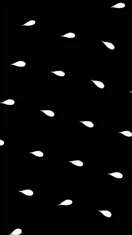 black and white teardrop pattern