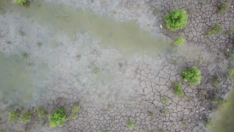 Dry-crack-land-at-wetlands-at-Batu-Kawan,-Penang,-Malaysia.